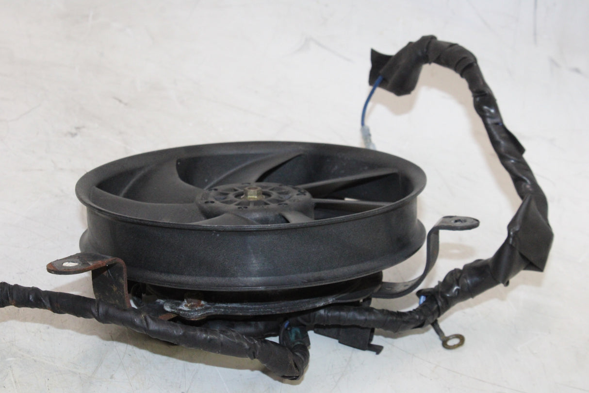 2000 Honda CBR900RR OEM ENGINE RADIATOR COOLING FAN PAIR
