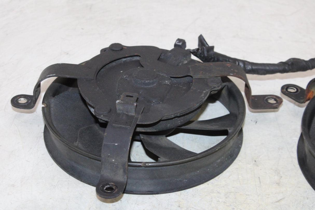 2000 Honda CBR900RR OEM ENGINE RADIATOR COOLING FAN PAIR