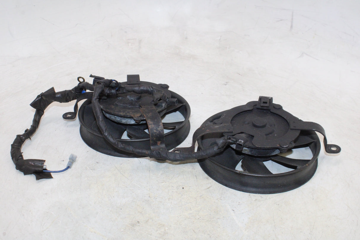 2000 Honda CBR900RR OEM ENGINE RADIATOR COOLING FAN PAIR