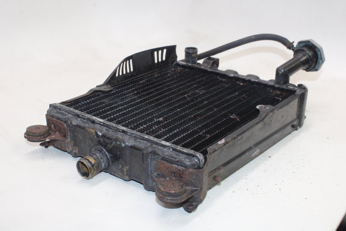 1981 Honda Goldwing 1100 GL1100 OEM ENGINE RADIATOR MOTOR COOLER COOLING W CAP