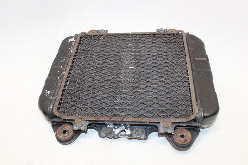 2001 Kawasaki Ninja 250r Ex250f Engine Radiator Motor Cooler Cooling Radiater