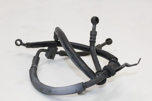 2001-03 Honda Cbr600f4i Front Brake Caliper Hoses Lines 45125-mbw-003 OEM