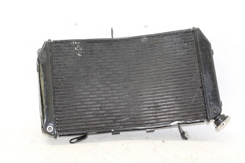 11-13 Yamaha Fz8 Engine Radiator Motor Cooler Cooling Radiater OEM