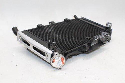 2007 Yamaha Fz6 Engine Radiator Motor Cooler Cooling 4s8-12461-00-00 OEM