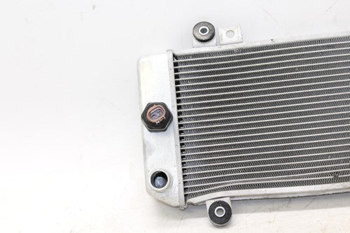 08-11 Kawasaki Ninja 250r Ex250j Engine Radiator Motor Cooler Cooling Radiater