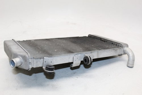 2007 Honda Silver Wing 600 Fsc600 Engine Radiator Motor Cooling Radiater OEM