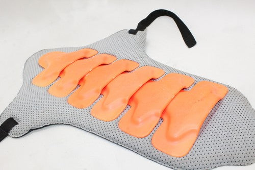 DAINESE Back Protector Plates *USED*