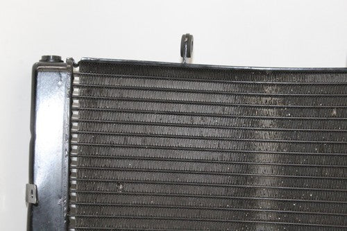 2009-12 Triumph Daytona 675r Engine Radiator Motor Cooler Cooling Radiater OEM