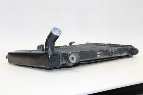 2004 01-05 Yamaha Fz1 Fazer Engine Radiator Motor Cooler Cooling Radiater OEM