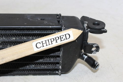 2002 Bmw R1150rt Engine Radiator Motor Cooler Cooling Radiater