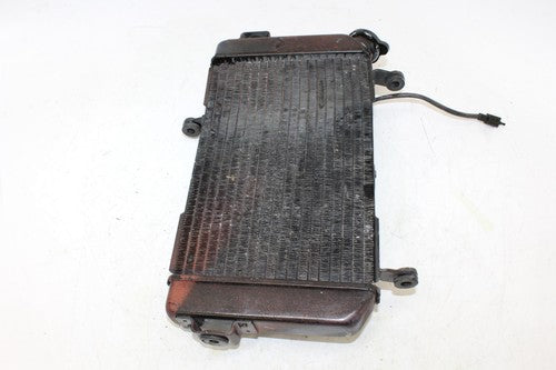 2002 Suzuki Sv650 Engine Radiator Motor Cooler Cooling Radiater