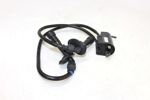 2001 Suzuki Bandit 600 Gsf600s Ignition Coils Coil Spark Plug Caps