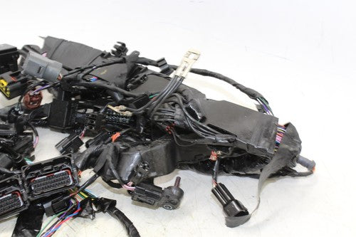13-16 Triumph Daytona 675r Abs Main Engine Wiring Harness Motor Wire Loom OEM