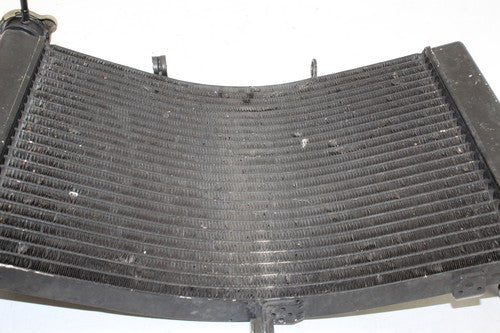 1999-2000 Honda Cbr600f4 Engine Radiator Motor Cooler Cooling Radiater OEM
