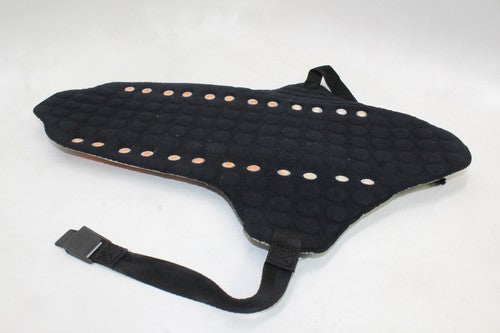 DAINESE Back Protector Plates *USED*