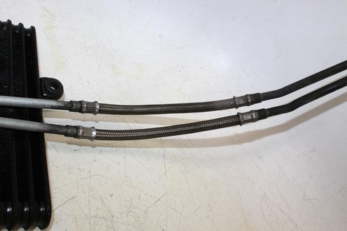1997 Triumph Daytona T595 Engine Motor Oil Cooler With Hoses
