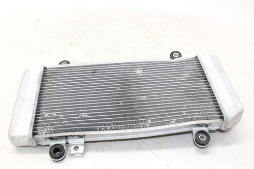 08-11 Kawasaki Ninja 250r Ex250j Engine Radiator Motor Cooler Cooling Radiater