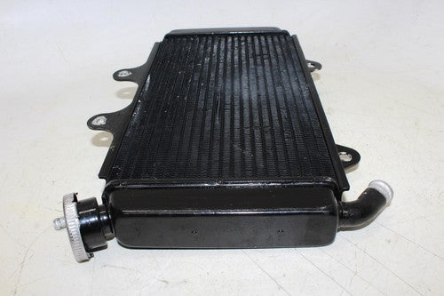 2015 Ktm 390 Rc Engine Radiator Motor Cooler Cooling Radiater
