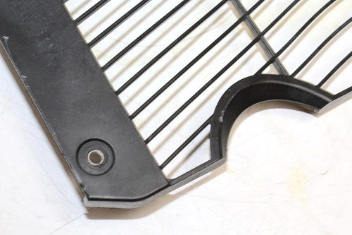 (06-10) 2007 YAMAHA FZ1 OIL COOLER GRILL GUARD OEM