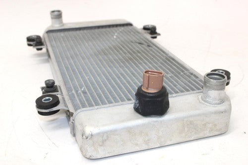 2009 Kawasaki Ninja 250r Ex250j Engine Radiator Motor Cooler Cooling Radiater