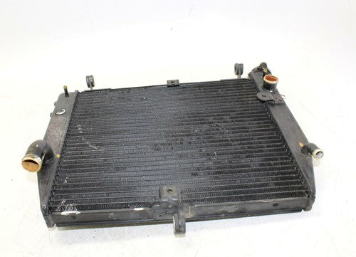 02-03 Yamaha Yzf R1 Engine Radiator Motor Cooler Cooling Radiater OEM