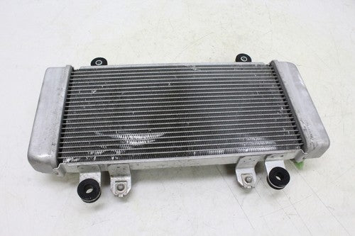 2013 Kawasaki Ninja 300 Ex300a Engine Radiator Motor Cooler Cooling Radiater