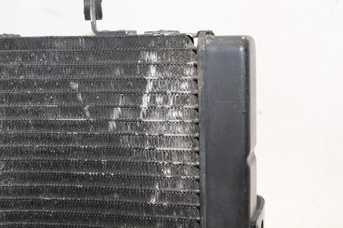 1995 Honda Cbr600f3 Engine Radiator Motor Cooler Cooling Radiater