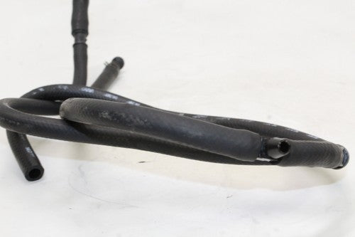 2003-09 Buell Blast P3 Hoses OEM