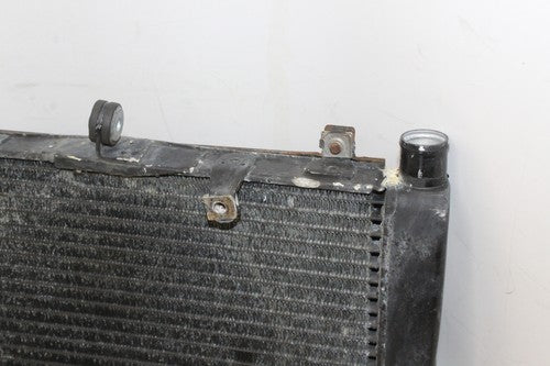 2004 01-05 Yamaha Fz1 Fazer Engine Radiator Motor Cooler Cooling Radiater OEM