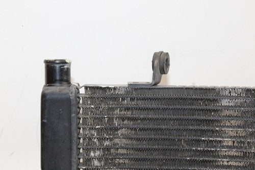 1995 Honda Cbr600f3 Engine Radiator Motor Cooler Cooling Radiater