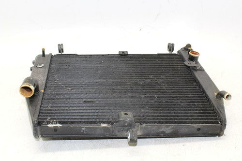 02-03 Yamaha Yzf R1 Engine Radiator Motor Cooler Cooling Radiater OEM
