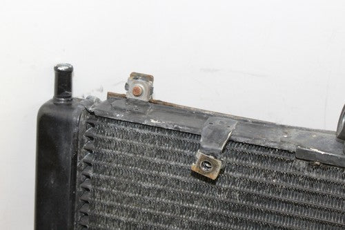 2004 01-05 Yamaha Fz1 Fazer Engine Radiator Motor Cooler Cooling Radiater OEM