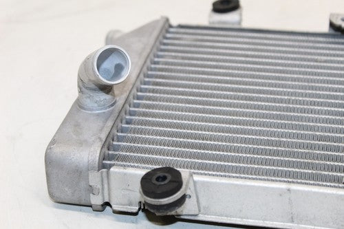 2007 Honda Silver Wing 600 Fsc600 Engine Radiator Motor Cooling Radiater OEM