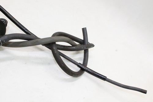 1998 Honda Cbr600f3 Evap Vapor Charcoal Emission Canister OEM