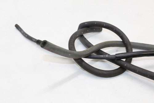 1998 Honda Cbr600f3 Evap Vapor Charcoal Emission Canister OEM