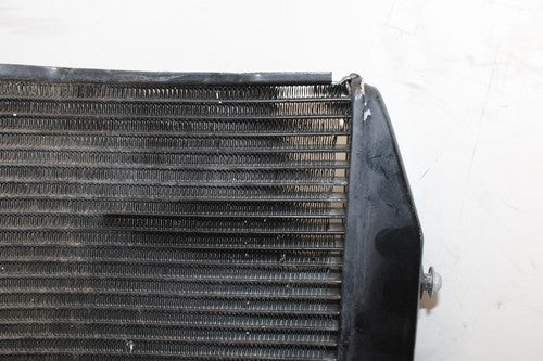 2008 Yamaha YZF R1 ENGINE RADIATOR MOTOR COOLER COOLING RADIATER