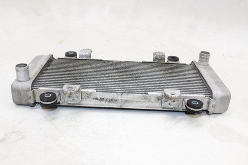 2013-17 Kawasaki Ninja 300 Ex300a Engine Radiator Motor Cooler Cooling OEM