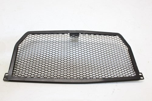 2015-2018 Bmw S1000r Oil Cooler Grill Guard OEM
