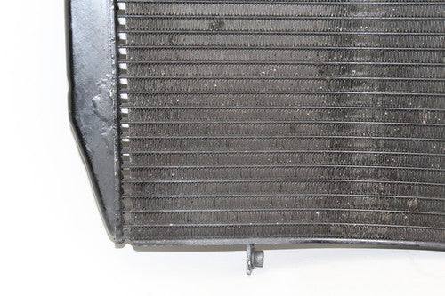 2009-12 Triumph Daytona 675r Engine Radiator Motor Cooler Cooling Radiater OEM