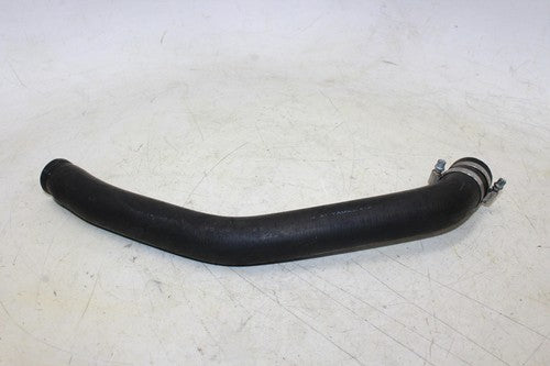 2000 Honda Cbr600f4 Hose