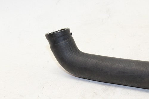 2002 Honda Super Hawk 1000 Vtr1000f Hose Set