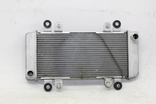 2013 Kawasaki Ninja 300 Ex300b Abs Engine Radiator Motor Cooler Cooling Radiater