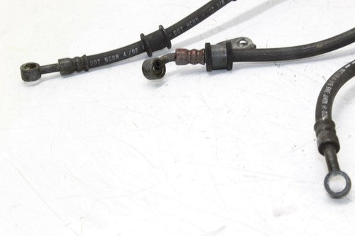 03-04 Honda Cbr600rr Front Brake Caliper Hoses LINES OEM