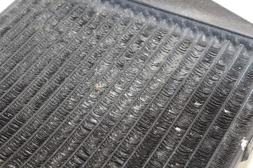 2002 Honda Cbr954rr Engine Radiator Motor Cooler Cooling Radiater