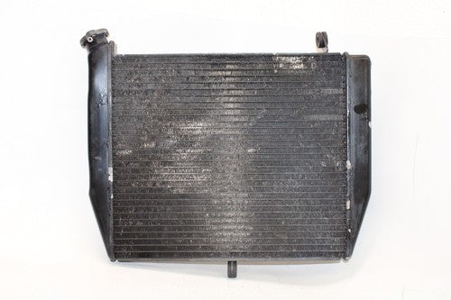 2002-03 Yamaha Yzf R1 Engine Radiator Motor Cooler Cooling OEM
