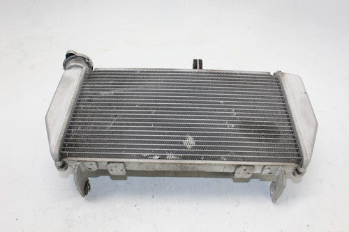 2015-2018 Yamaha Yzf R3 Engine Radiator MOTOR Cooler Cooling Radiater OEM