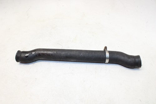 1998 Honda Super Hawk 1000 Vtr1000f Hose Set