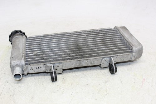 2015 Honda Cb300f Engine Radiator Motor Cooler Cooling Radiater