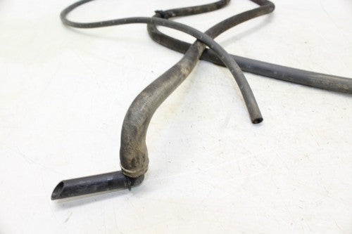 1989 Honda Nx125 Evap Canister