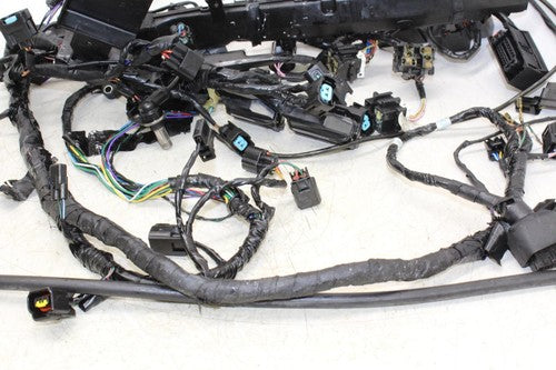 13-16 Triumph Daytona 675r Abs Main Engine Wiring Harness Motor Wire Loom OEM